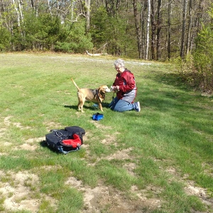 Fundraising Page: David Brady